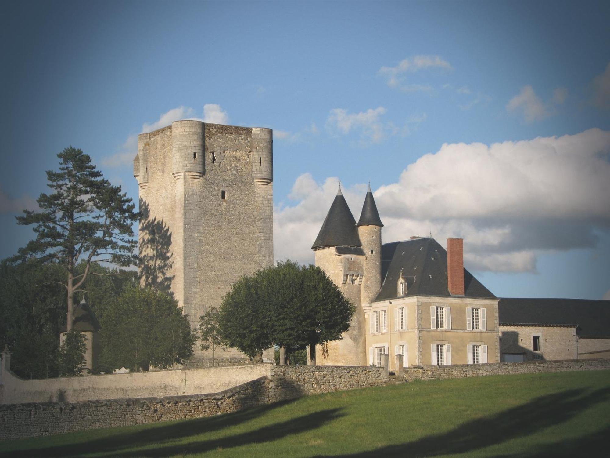 Chateau De Mazieres Tendu Exterior foto