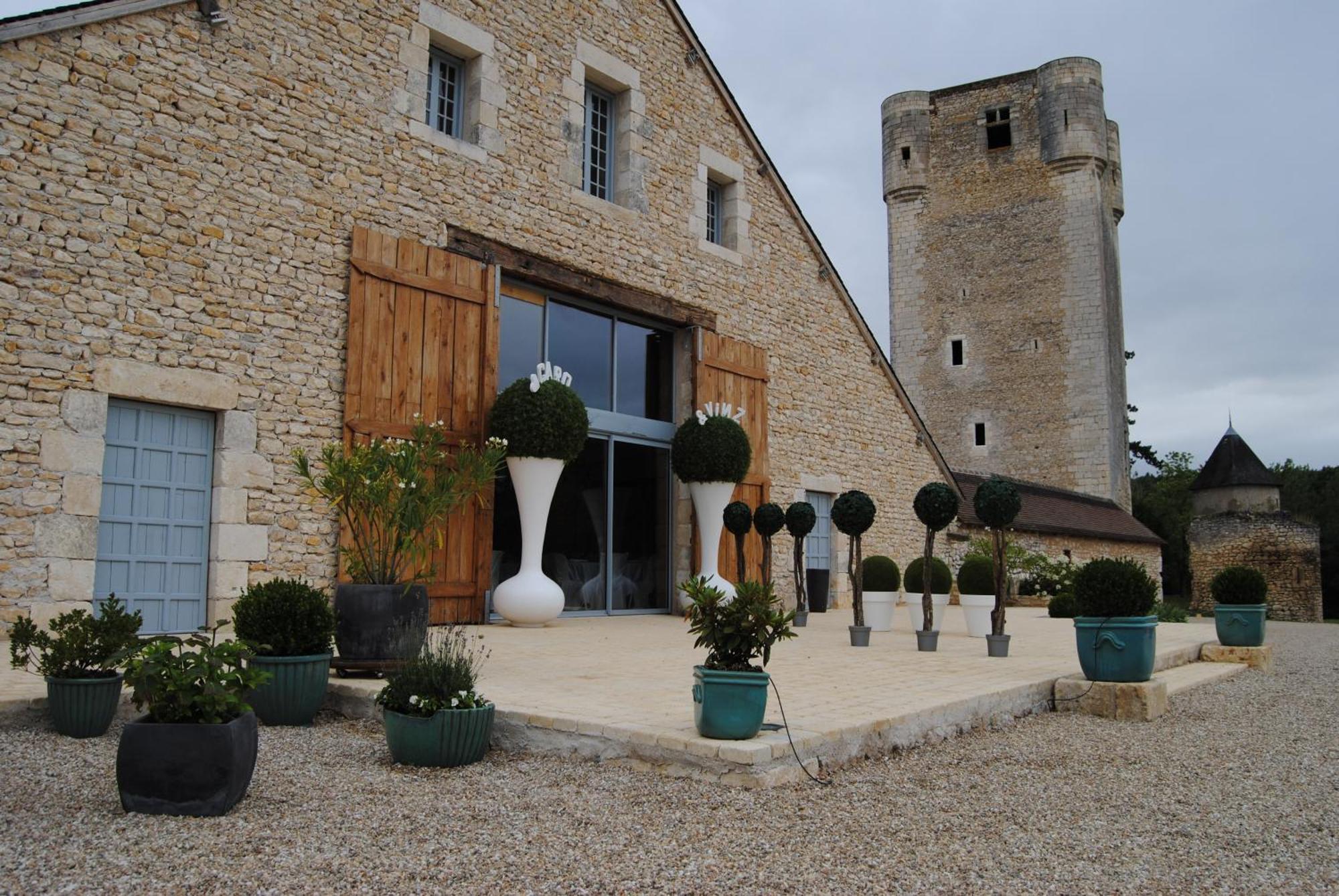 Chateau De Mazieres Tendu Exterior foto